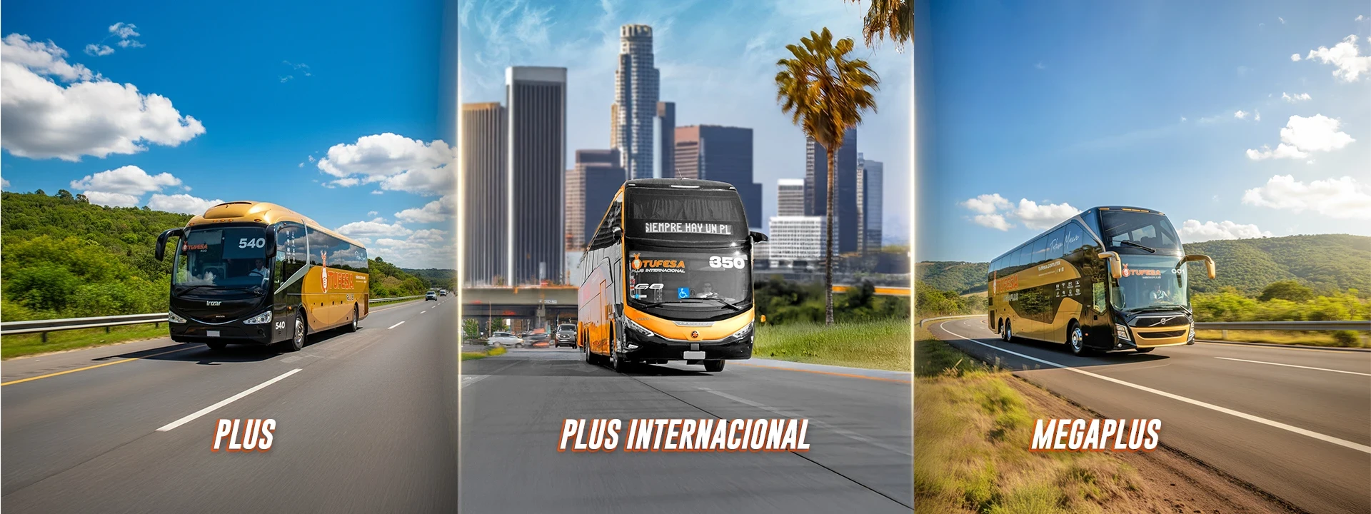 TUFESA Plus, Plus Internacional and MegaPlus buses