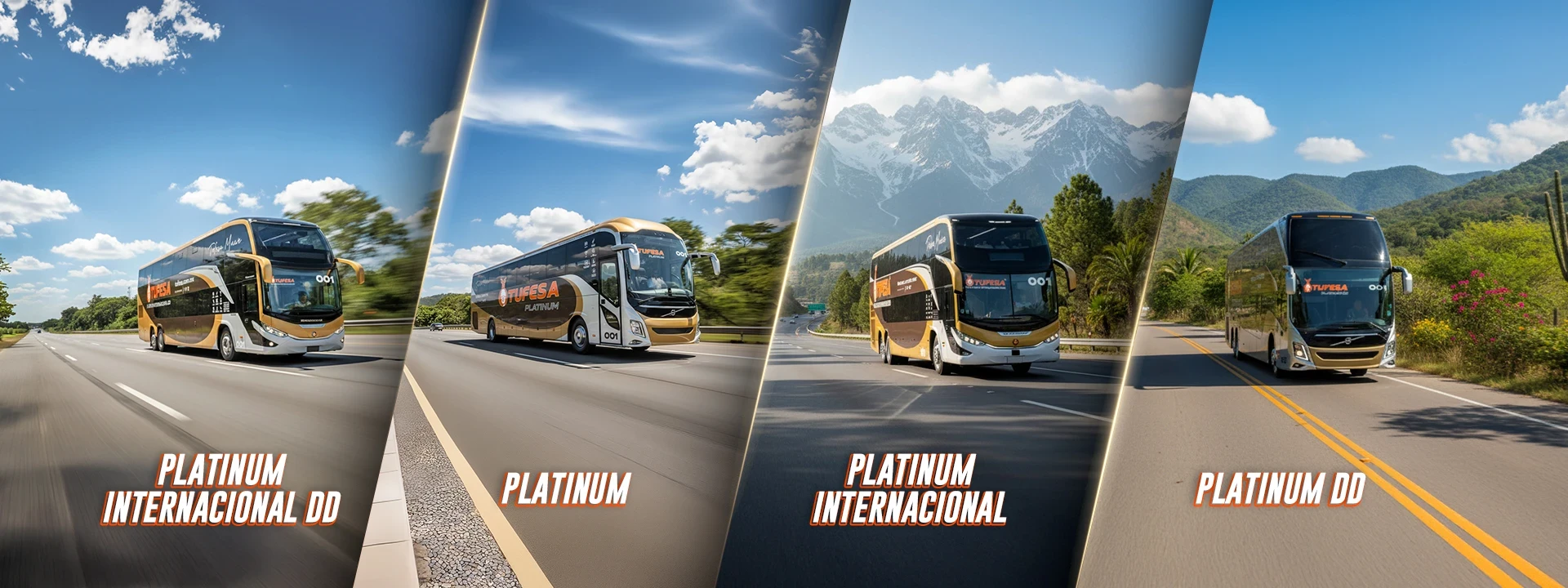 TUFESA Platinum Internacional DD, Platinum, Platinum Internacional and Platinum DD buses